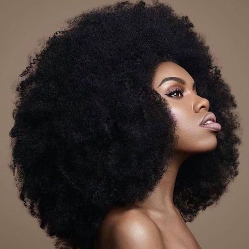 SHEA NILOTICA FOR 4C HAIR