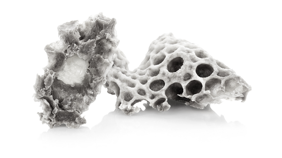 ROYAL JELLY BENEFITS