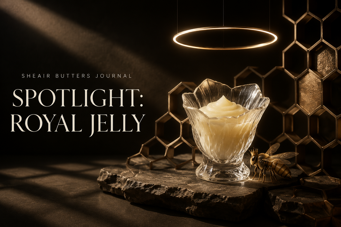 Spotlight: Royal Jelly